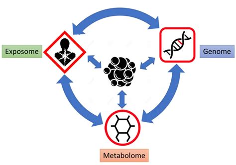 Metabolomics In Cancer Research and Emerging Applications - MetwareBio