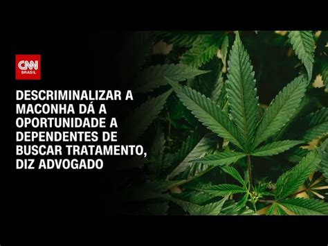 Descriminalização Da Maconha Facilita Acesso A Tratamento Para Dependentes Diz Advogado Cnn