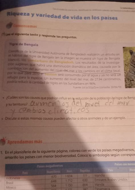 Libro De Sexto Grado Contestado De Geografía Sep Planea Libros De