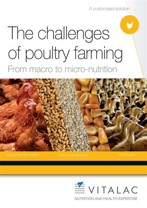 (PDF) Brochure The challenges of poultry farming · Face the challenges ...