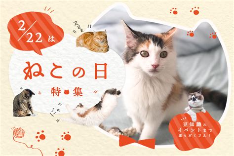 【特集】2月22日は猫の日！猫好き必見のイベントや可愛いスイーツを紹介 Prettyonline