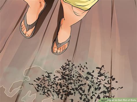 How to Get Rid of Bats: 11 Steps (with Pictures) - wikiHow