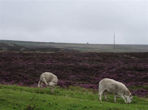 Espacio De Lo Posible Wales