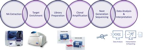 Next Generation Sequencing NGS AFMS