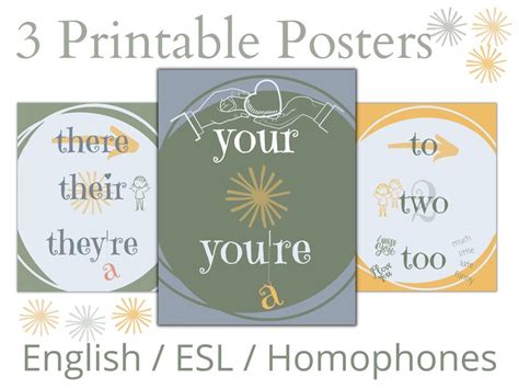 Printable Homophones Poster for English Class Set of 3 Wall - Etsy