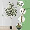 Amazon Warmplants Artificial Eucalyptus Tree 6ft Tall Fake