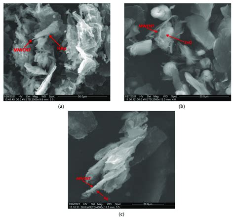 SEM images illustrating the decoration of MWCNTs with HAp (a), ZnO (b ... 