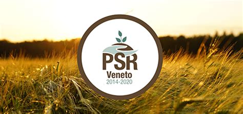 PSR Veneto Aperti I Nuovi Bandi 152 5 Milioni Di Euro Per Giovani E