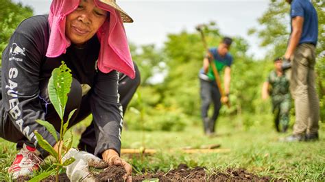 Community Service Projects The Complete Guide For Nonprofits