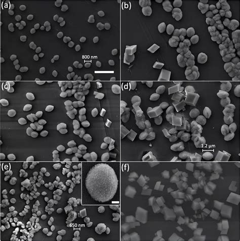 Understanding The Internal Structure Of Calcite Through Synthesis