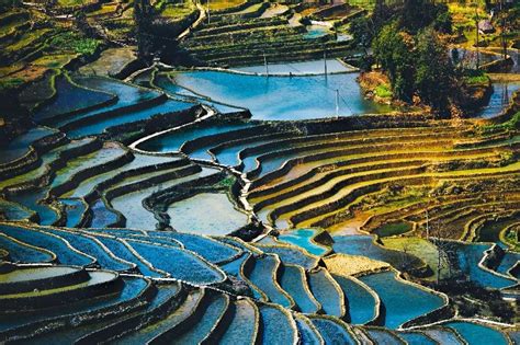 Plan A Trip To Yunnan With ChinaTours And See The Real China