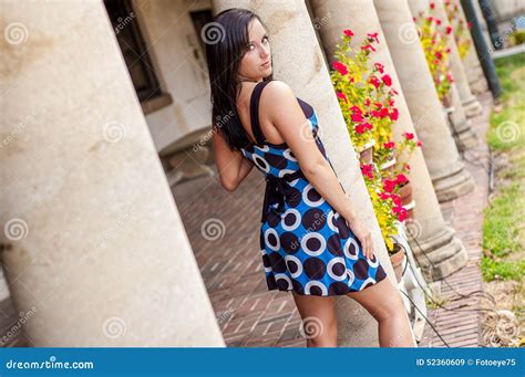 Girl With Brown Hair In Dress Fashion Model Stock Image Image Of Emotions Adult 52360609