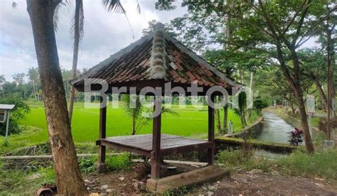 Jual Tanah Kebun Di Banyuwangi Harga Terbaru