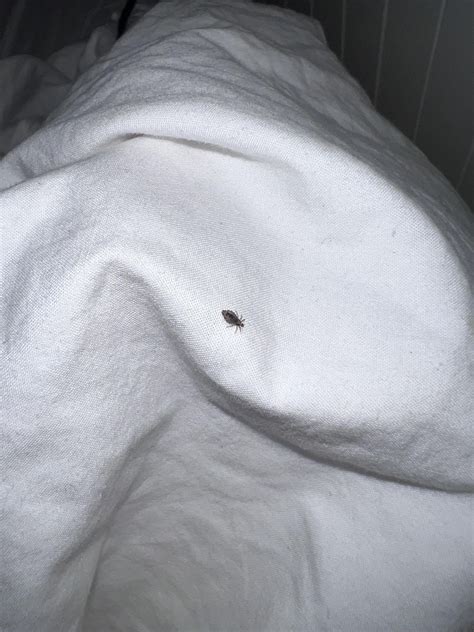 intense itching when waking up in the morning sometimes accompanied by