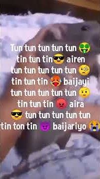 tun tun tun tun tin tun tin airen tun tun tun tun tun youtube