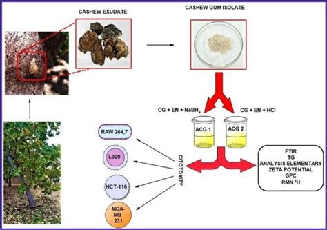 influence  reduction  nabh  hcl  obtaining amino