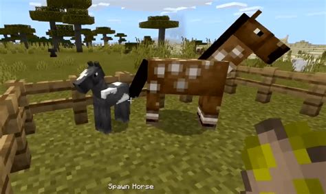 How To Breed Horses In Minecraft