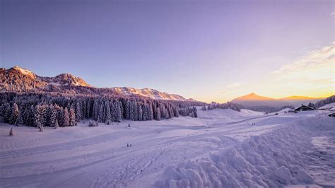 1920x1080 Winter Snow Trees 4k Laptop Full Hd 1080p Hd 4k Wallpapers