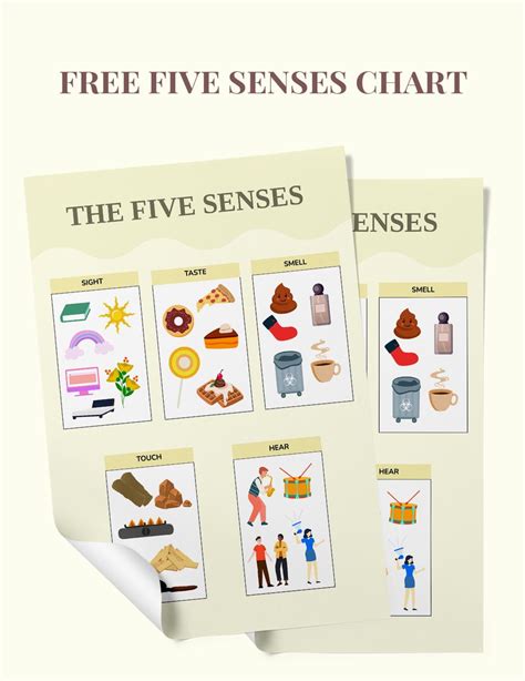 Five Senses Pocket Chart In Illustrator Pdf Download