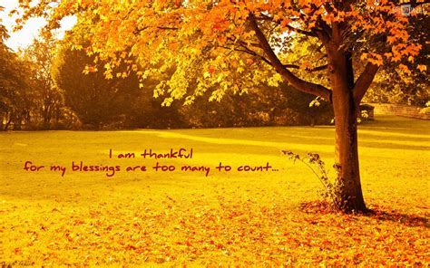 Fall Thanksgiving Wallpaper (60+ images)