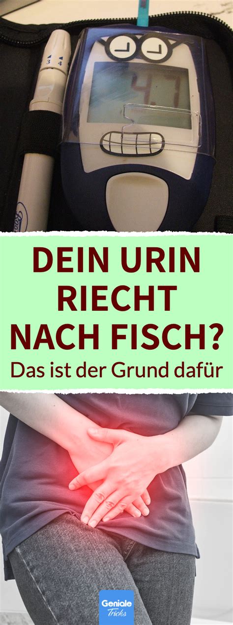 Warum riecht mein Urin nach Fisch Fische Urin Körpersprache deuten