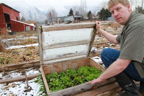 How To Grow Tomatoes, Outdoors, During Winter - Off The Grid News