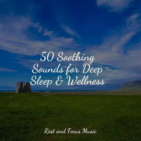 Soothing Sounds For Deep Sleep Wellness Album By