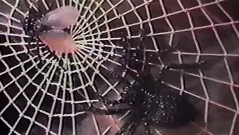 Leif Garret Gay Man Porn XHamster