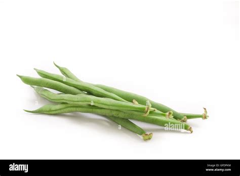 Kidney Bean Phaseolus Vulgaris Hi Res Stock Photography And Images Alamy