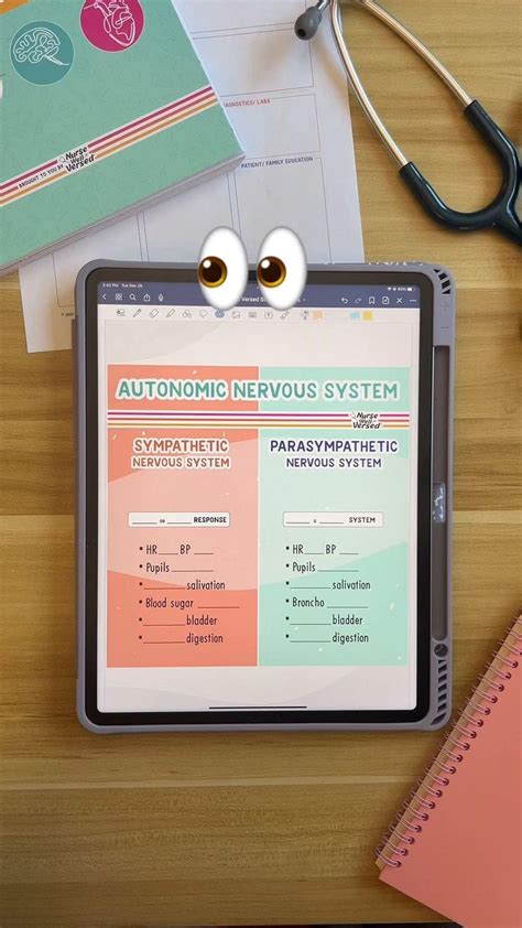 SNS vs. PNS [Video] in 2024 | Nursing student tips, Nursing school ...