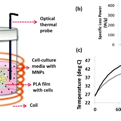 Pdf The Potential Of Magnetic Hyperthermia For Triggering The