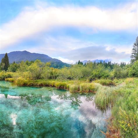 Premium Photo Amazing Summer View On Zelenci Lake With Beautiful