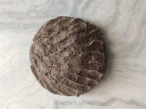 Dry Cow Dung Cake At Rs 60 Piece Cow Dung Cake For Manure In Malpura