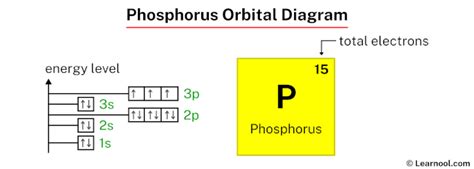 Phosphorus Orbital Diagram Learnool