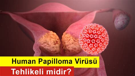 Human Papilloma Virüsü Tehlikeli midir HPV Nedir HPV Aşısı Neden