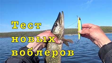 Первая ВОБЛЕРНАЯ рыбалка в сезоне. Тестирую новые воблеры. - YouTube