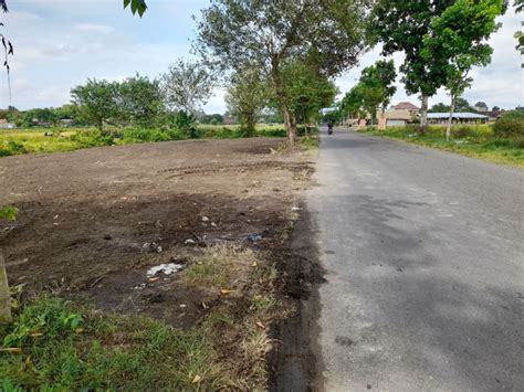 Tanah Dekat Candi Prambanan Tepi Aspal Cocok Hunian Dan Villa