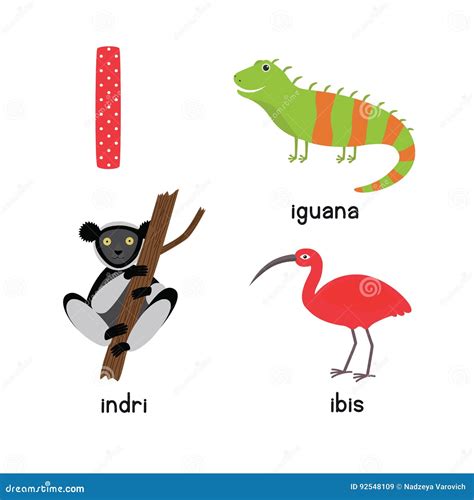 Cute Animal Zoo Alphabet. Letter I for Iguana, Ibis, Indri Stock ...