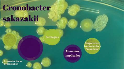 cronobacter sakazakii by Noelia Pereira on Prezi