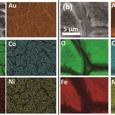 Sem Edx Maps Of Feconioxhy Electrodeposited Onto An Au Electrode A