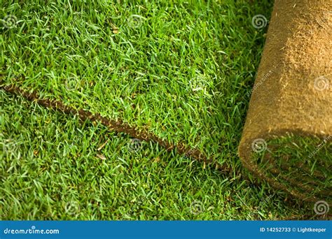 Turf Grass Roll Background Stock Image Image Of Growth 14252733