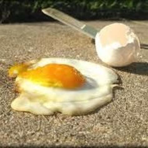 National Sidewalk Egg Frying Day HubPages