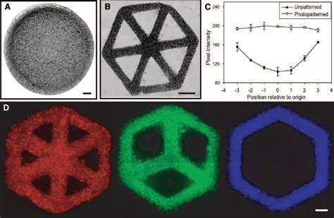 Figure From The Faseb Journal Research Communication Fabrication Of