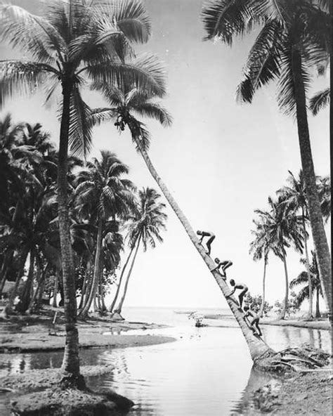 Paul Isaac Nordmann Tahiti 1939 Paul Isaac Nordmann Lived In Tahiti