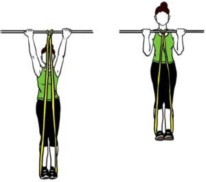 Pull Up Bands Long Resistance Bands For Pull Ups Exercise