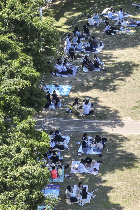 포토뉴스 청명한 날씨 속 소풍 즐기는 시민들 영남일보 사람과 지역의 가치를 생각합니다