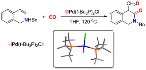 Palladium Catalyzed Intramolecular Hydroaminocarbonylation To Lactams