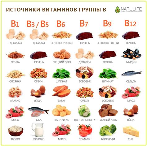 витамины группы б для чего нужны детям