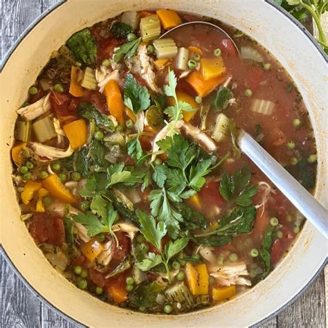 Healthy Chicken Vegetable Soup The Hungary Soul