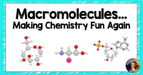 Exploring Food Macromolecules A Biochemistry Test In The Labster Lab